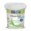 Sơn Nippon Odourless Sealer sơn lót chống kiềm, bề mặt mờ, màu trắng, 5 lít 1